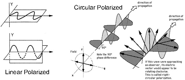 fig 4-44 polarization